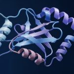 what is hplc testing