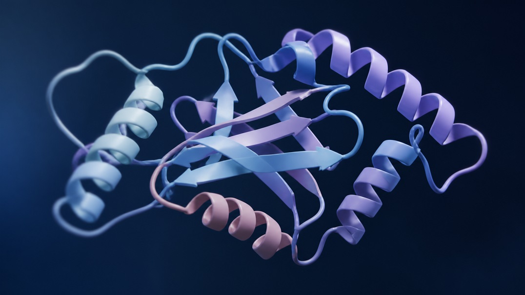 what is hplc testing