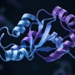 collagen peptides dermatology research