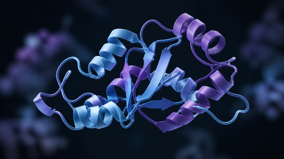 collagen peptides dermatology research