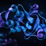 antimicrobial peptide research