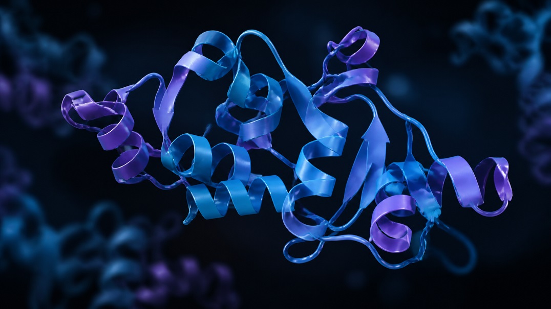 antimicrobial peptide research