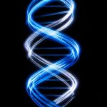 peptide research glossary of terms