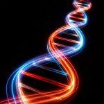 peptides and the immune system