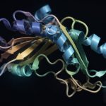 weight regulation and peptide research