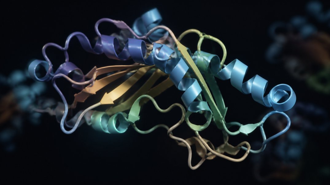 weight regulation and peptide research